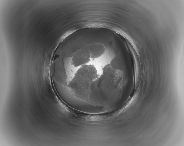 X0000087631041200705101023