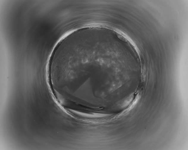 X0000087631045200705101024