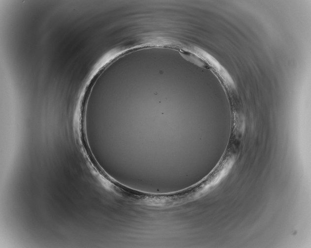 X0000087631046200705101024