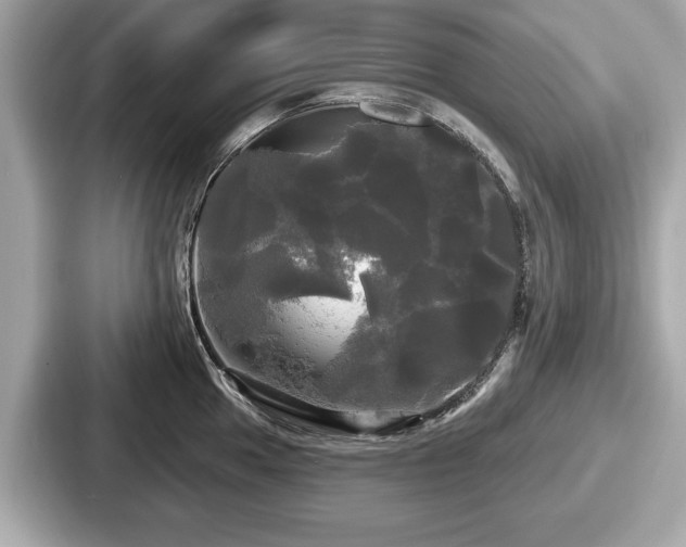 X0000087631049200705101024