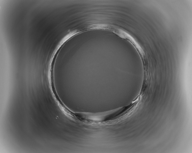 X0000087631050200705101024