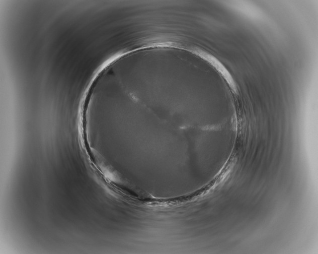 X0000087631051200705101024