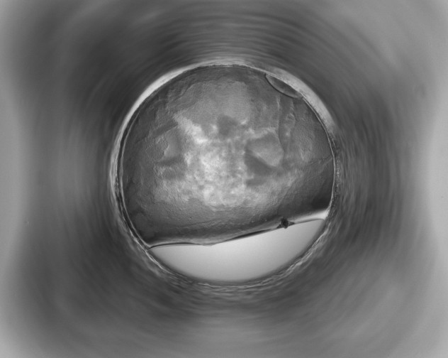 X0000087631052200705101024