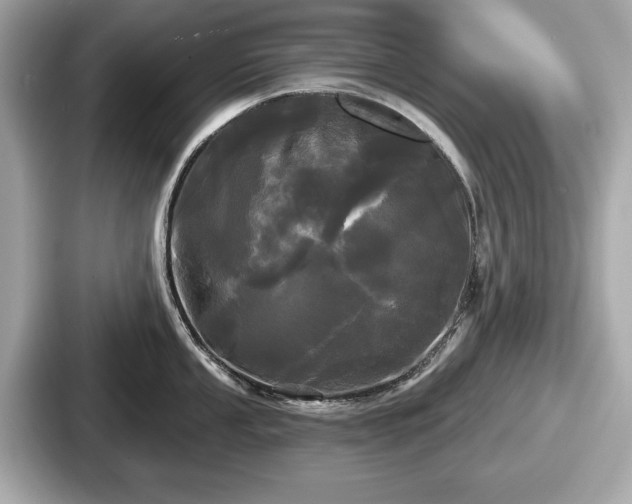 X0000087631053200705101024