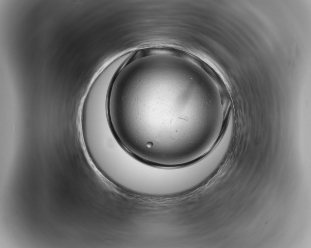 X0000087631055200705101024