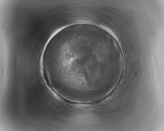 X0000087631056200705101024