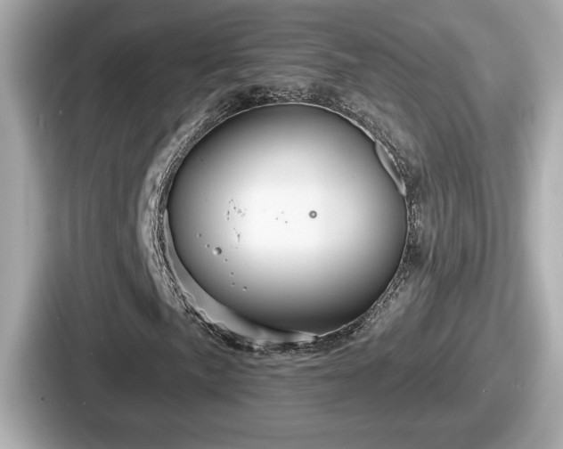 X0000087631057200705101023