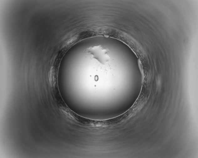 X0000087631058200705101023