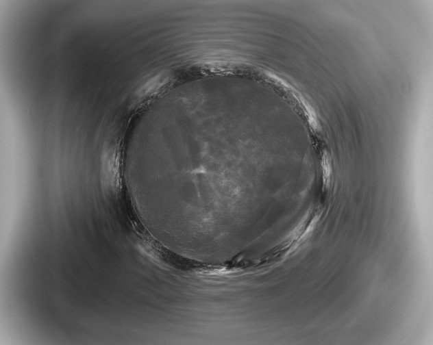 X0000087631060200705101023