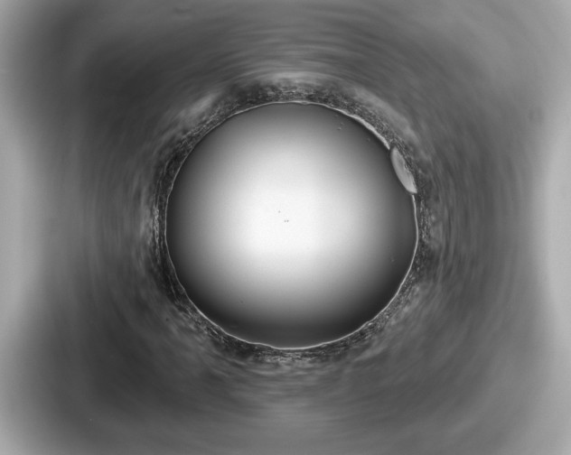 X0000087631061200705101023