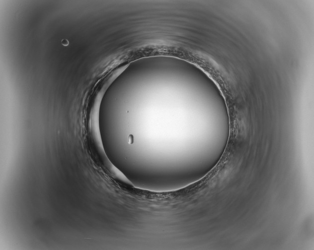 X0000087631062200705101023