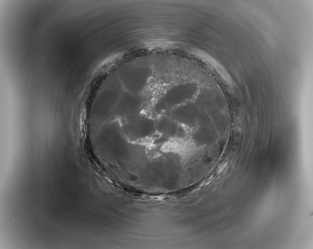 X0000087631063200705101023