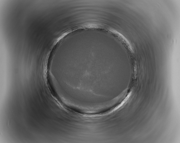 X0000087631065200705101023