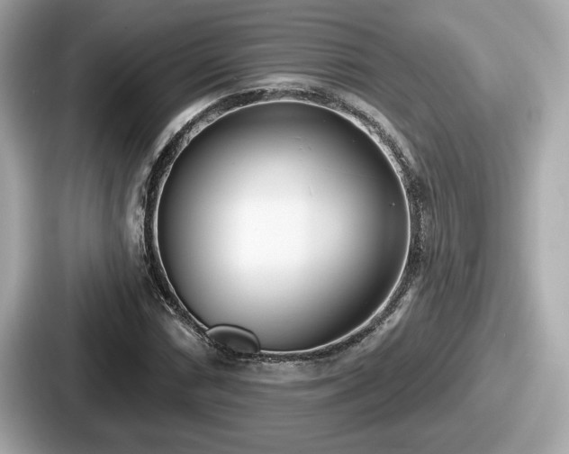 X0000087631066200705101023