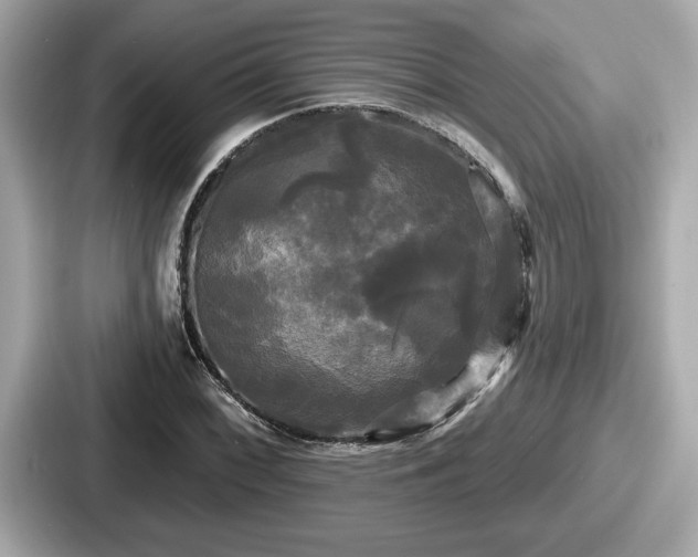 X0000087631068200705101023