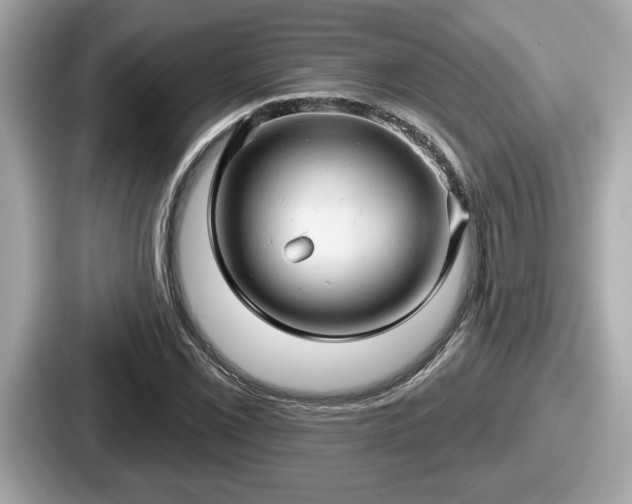 X0000087631069200705101023