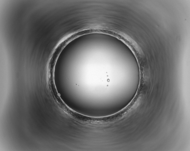 X0000087631070200705101023