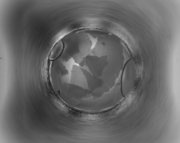 X0000087631071200705101023