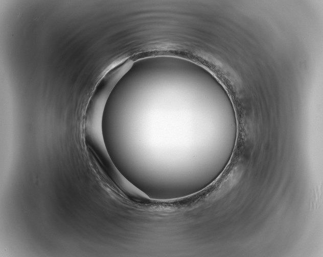 X0000087631073200705101023