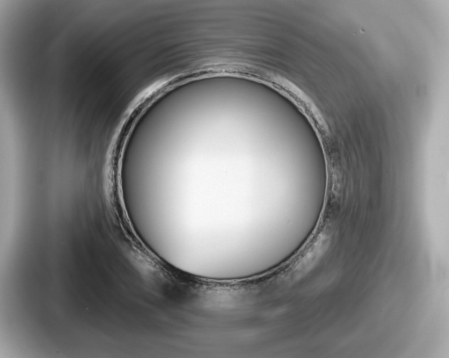 X0000087631074200705101023