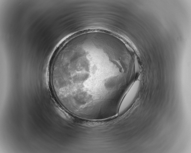 X0000087631076200705101023