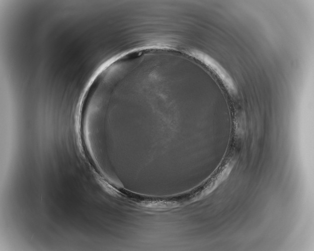 X0000087631077200705101023