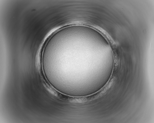 X0000087631078200705101023