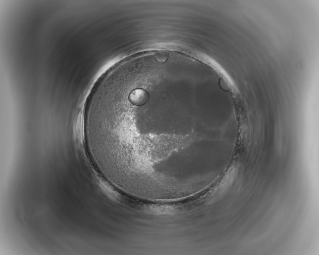 X0000087631079200705101023