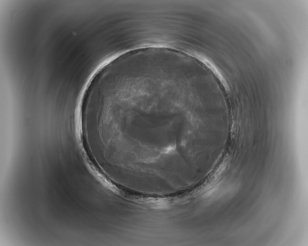 X0000087631080200705101023