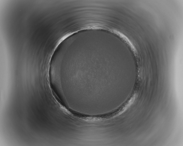 X0000087631081200705101023