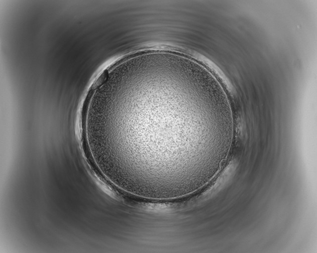 X0000087631082200705101023