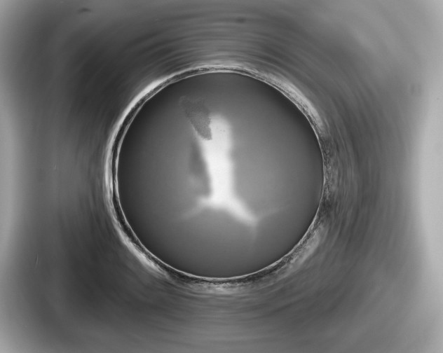 X0000087631084200705101023