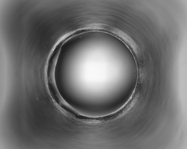 X0000087631085200705101023