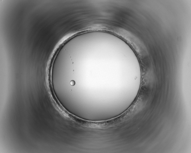 X0000087631086200705101023