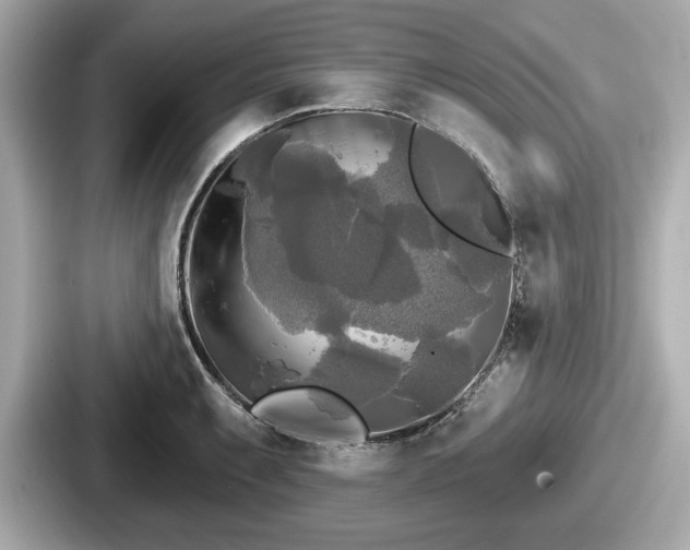 X0000087631087200705101023