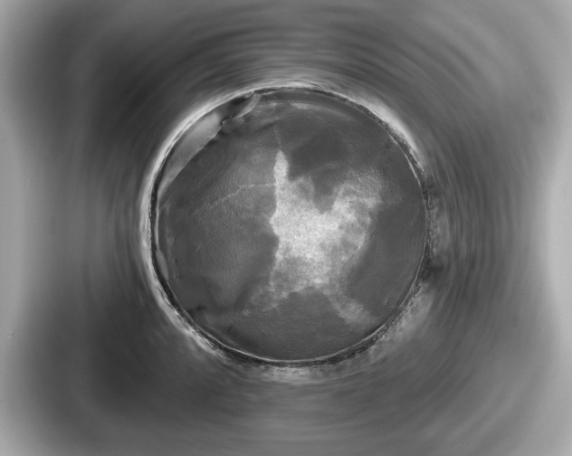 X0000087631088200705101023