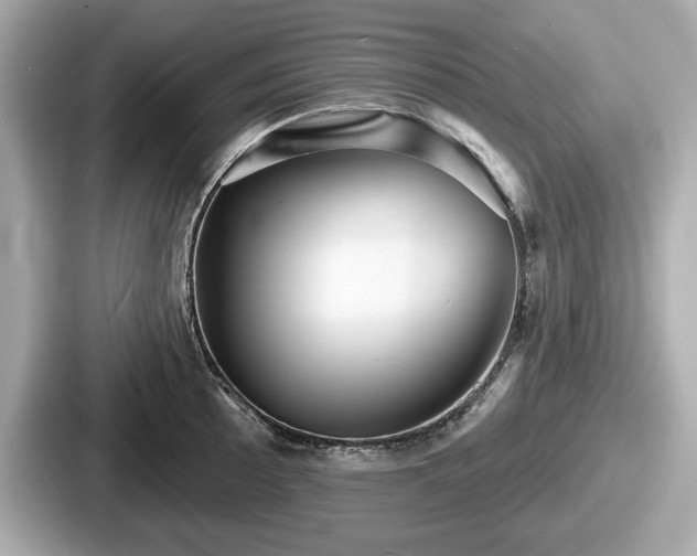 X0000087631089200705101023