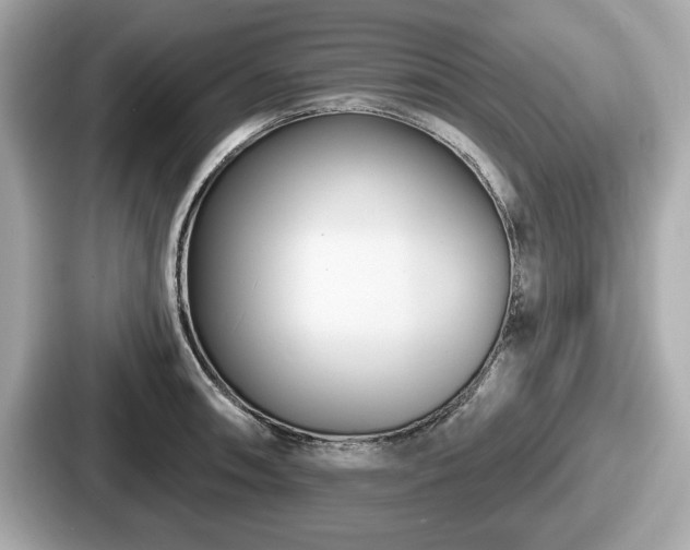 X0000087631090200705101023