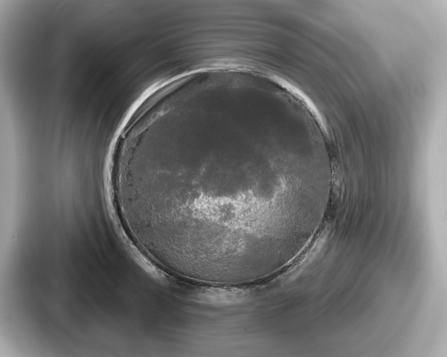 X0000087631091200705101023