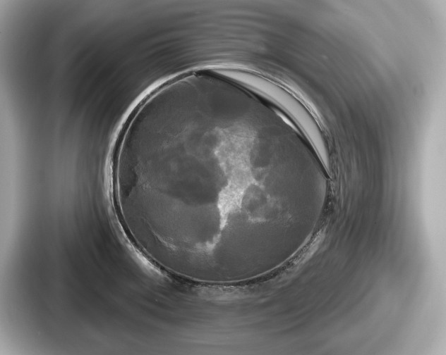 X0000087631092200705101023