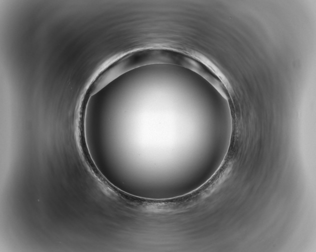 X0000087631093200705101023