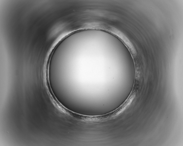 X0000087631094200705101023