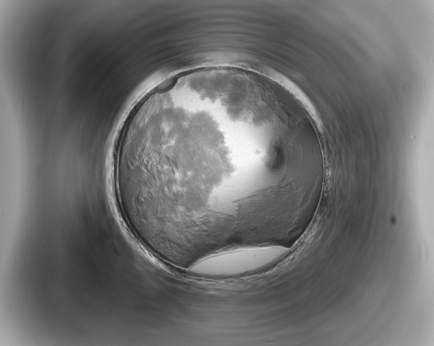 X0000087631096200705101023