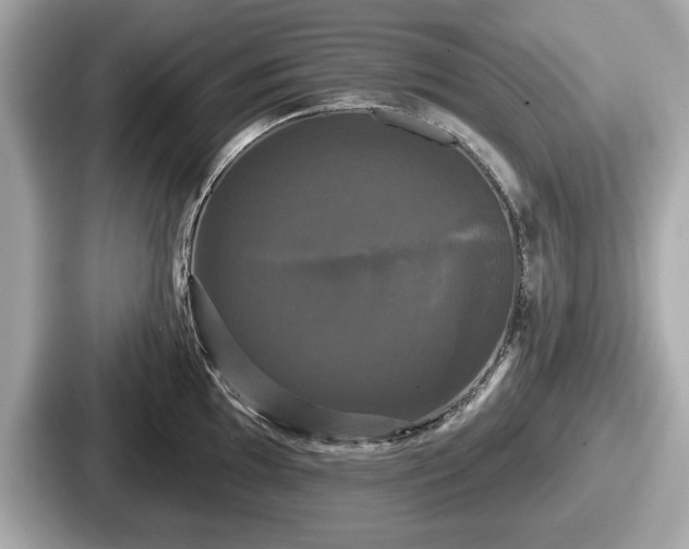 X0000087631097200705101023