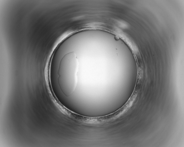 X0000087631098200705101023