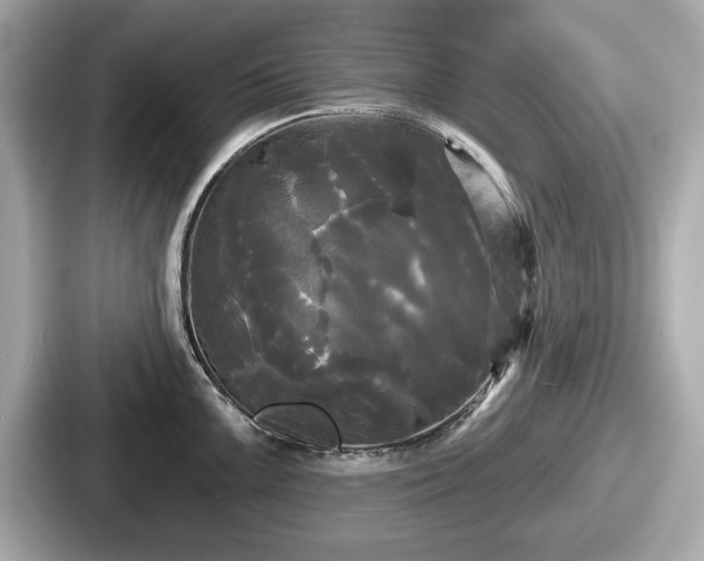 X0000087631099200705101023