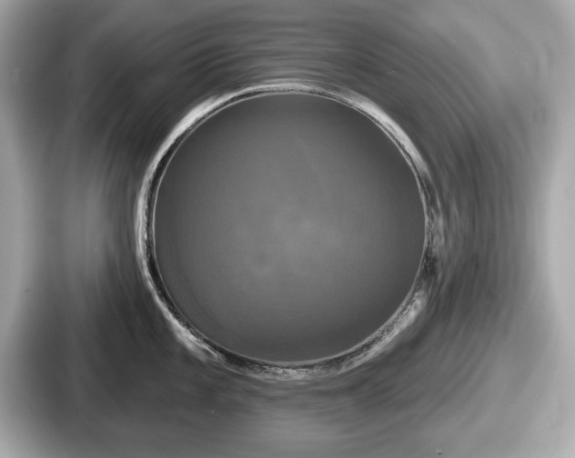 X0000087631101200705101022