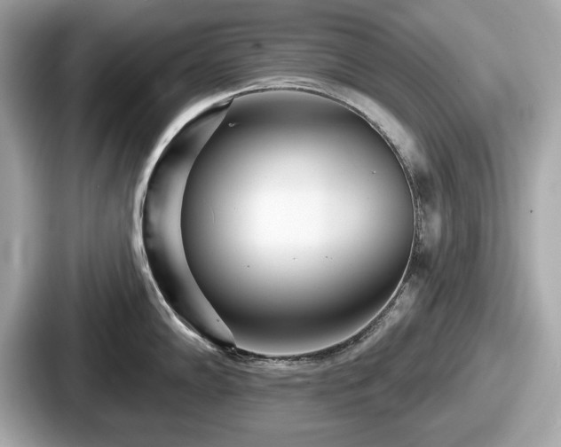 X0000087631102200705101022