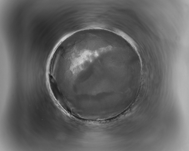 X0000087631104200705101022