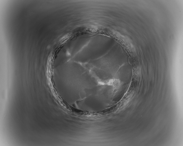 X0000087631105200705101022